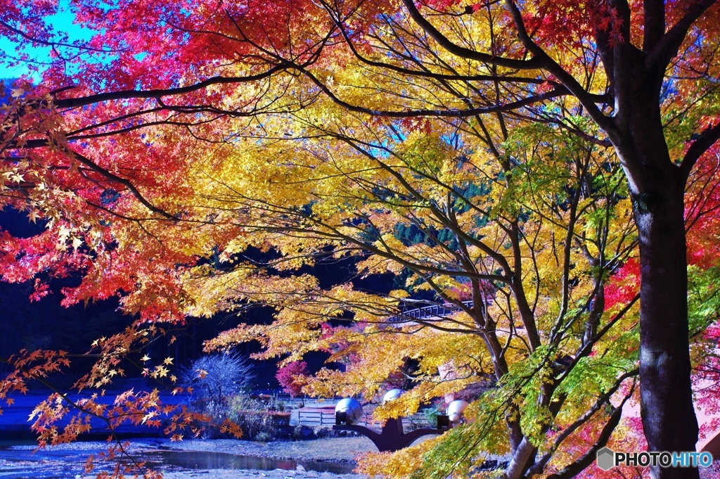 碓氷湖③