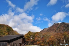 紅葉見ごろ