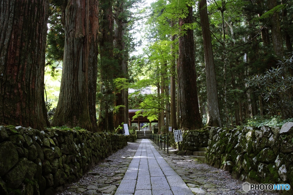 光前寺⑤