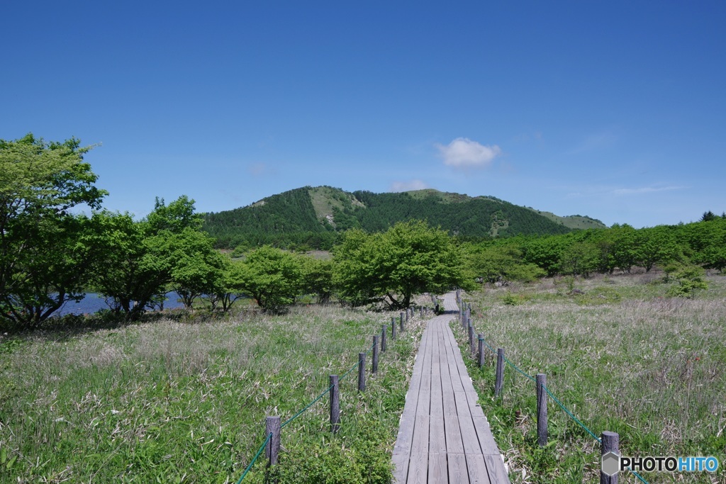 八島湿原