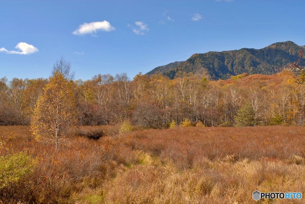 栃木県の魅力発信