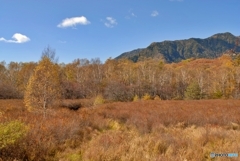 栃木県の魅力発信