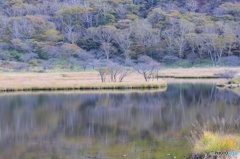 静寂 静寂