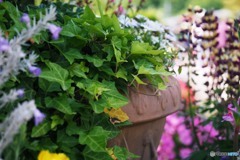 World in the flowerpots