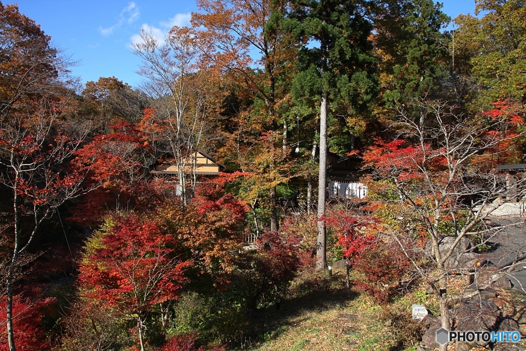 紅葉のある蕎麦屋②