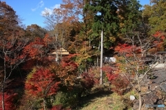 紅葉のある蕎麦屋②