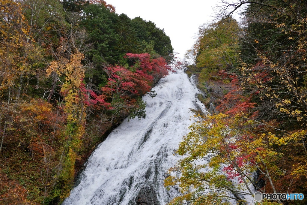 湯滝(日光）