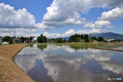 田園風景