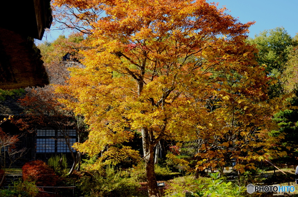 湯西川温泉平家の里
