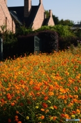 東武トレジャーガーデン