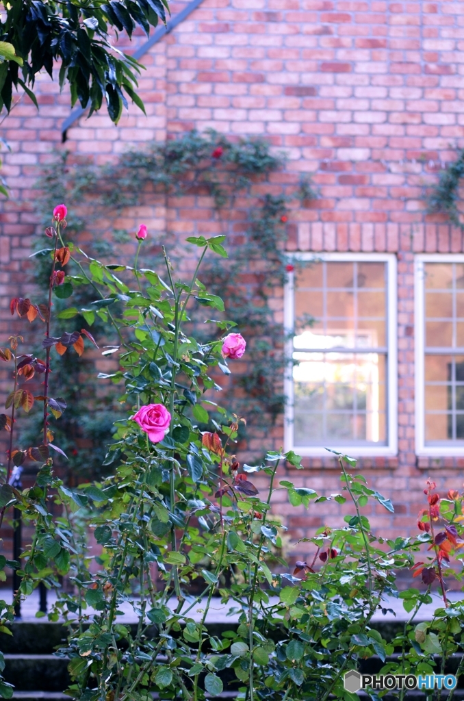 東武トレジャーガーデン