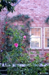 東武トレジャーガーデン