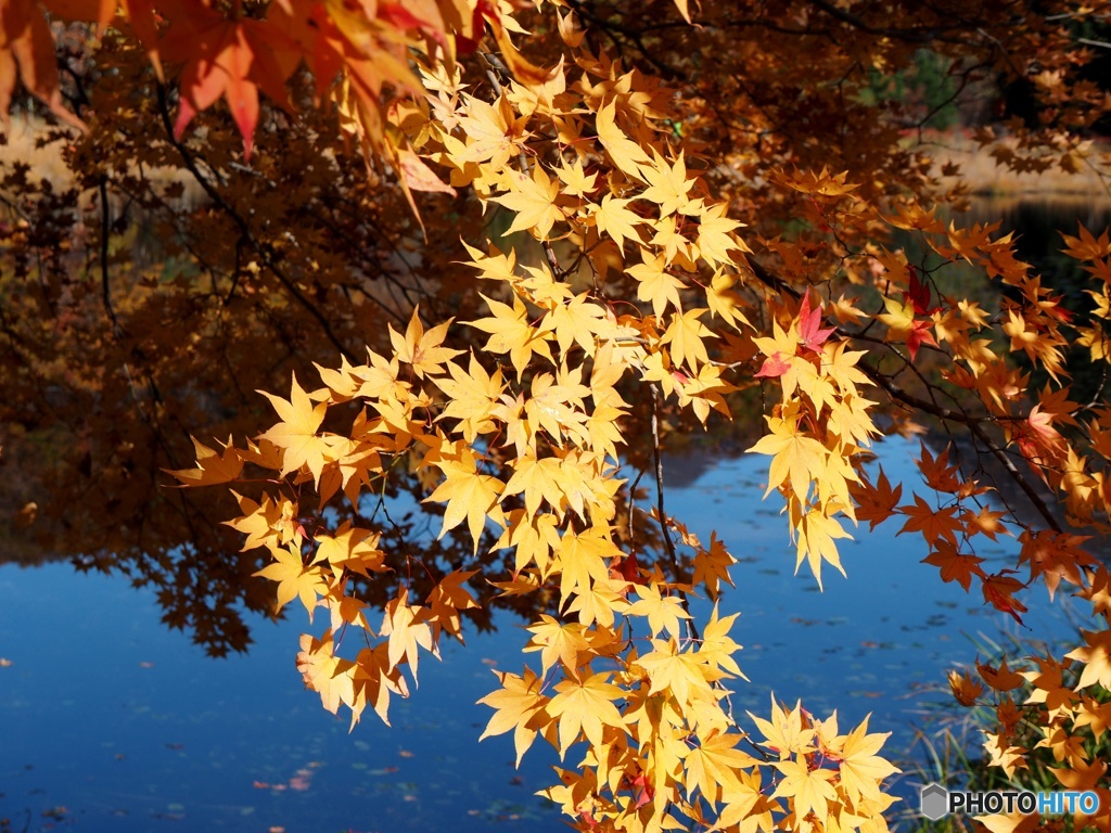 観音沼森林公園⑤