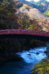 そうだ、日光いこう