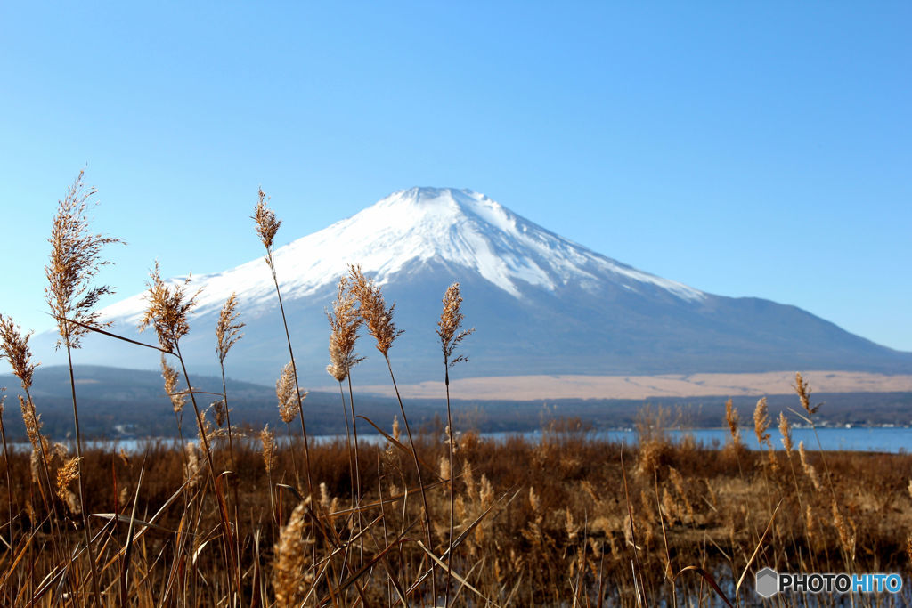 富士山②