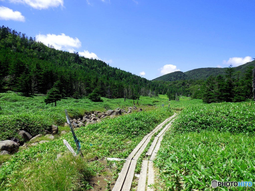 登山道②