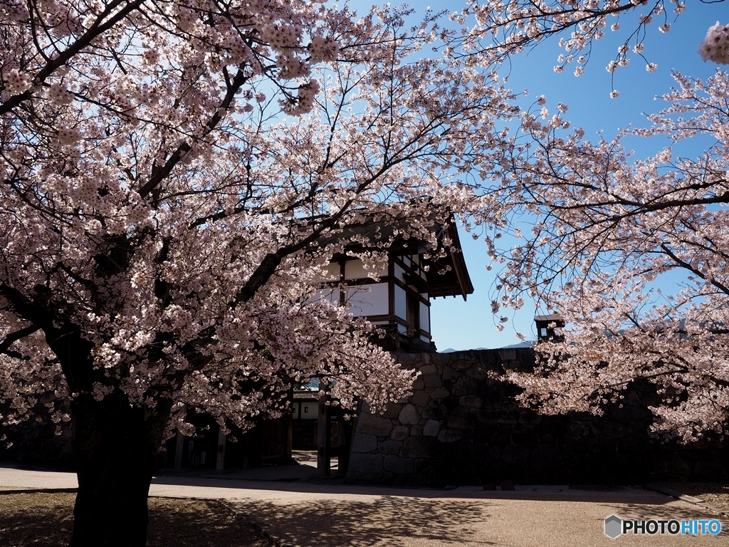 松代城跡②