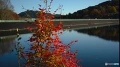 宇都宮市森林公園