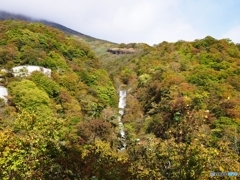 いろは坂の紅葉