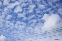 ひつじ雲