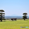 水郷筑波国定公園天王崎園地 (2)