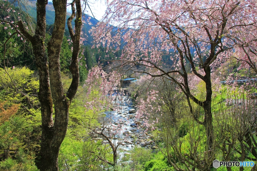 山里に春の訪れ