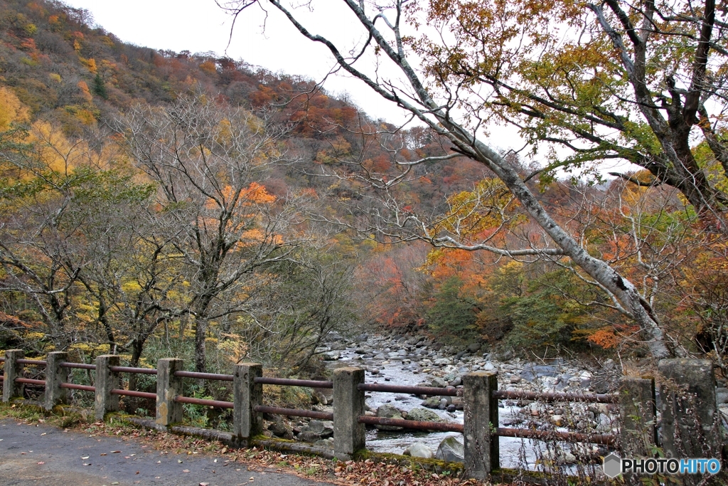 この先通行止め