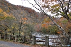 この先通行止め