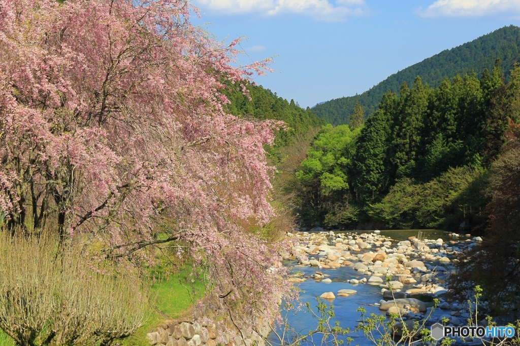 山里に春の訪れ②