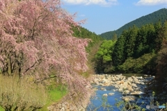 山里に春の訪れ②