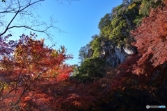 行道山紅葉