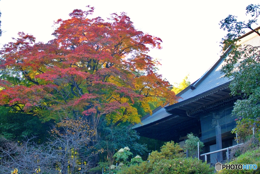 大中寺