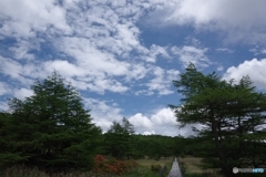 夏空