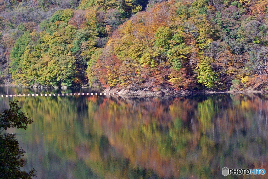 湖面に映る