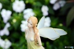 妖精2人目発見（栃木わんぱく公園）