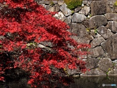 古峯園②