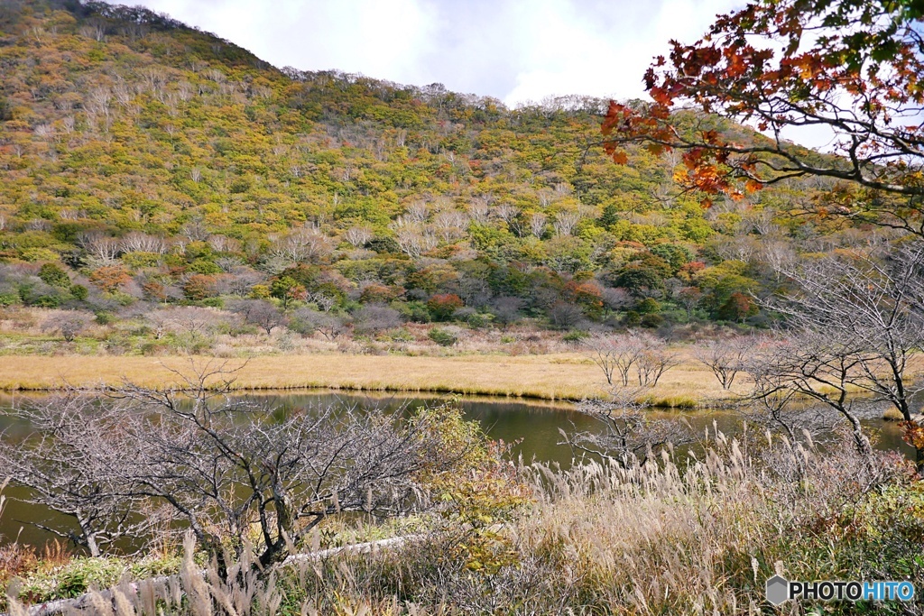 覚満淵の紅葉③
