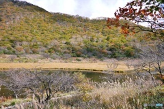 覚満淵の紅葉③
