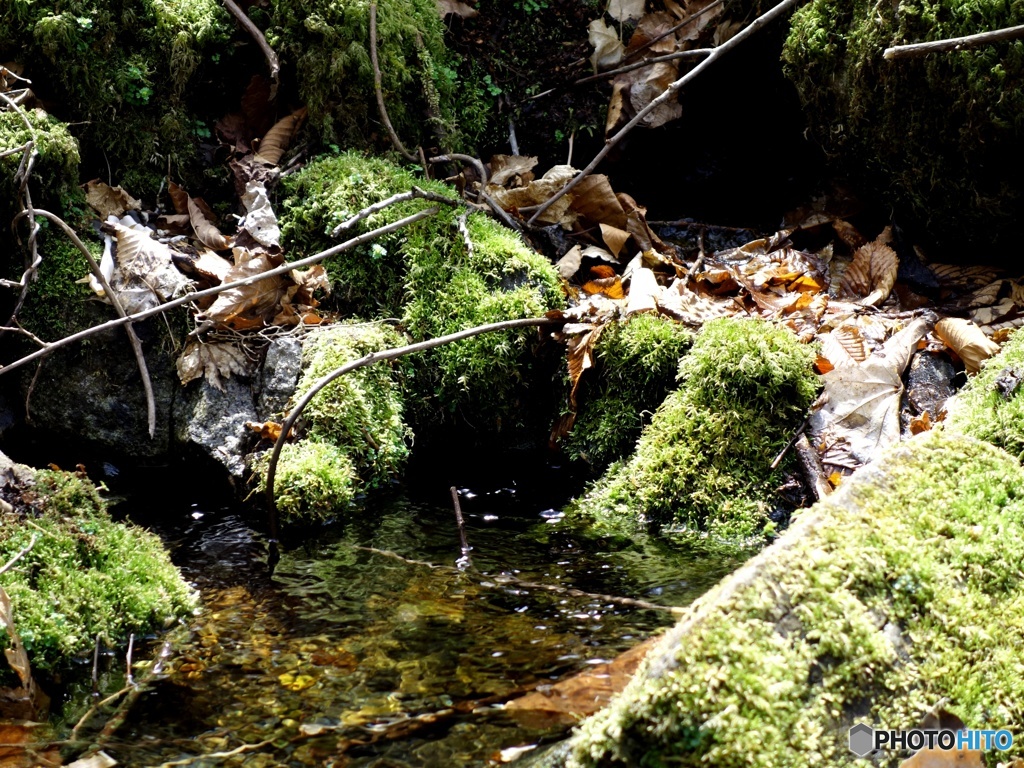 水源、ここから始まり