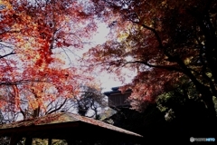 行道山浄因寺