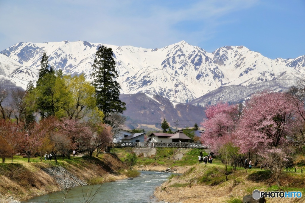 大出公園