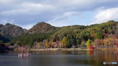 宇都宮市森林公園