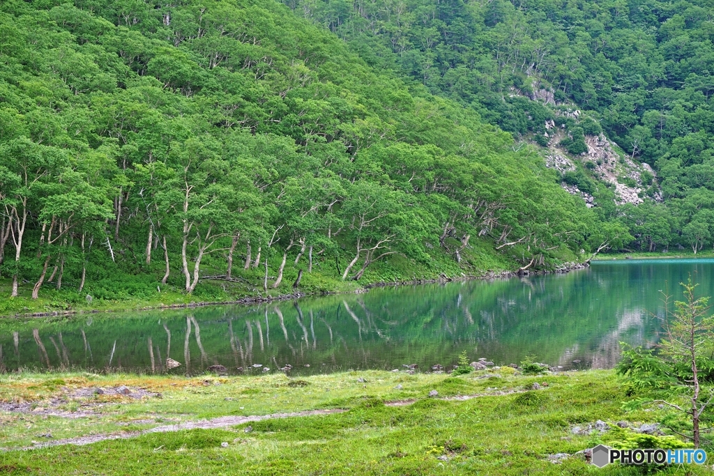 日光白根山五色沼