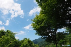 深山の空