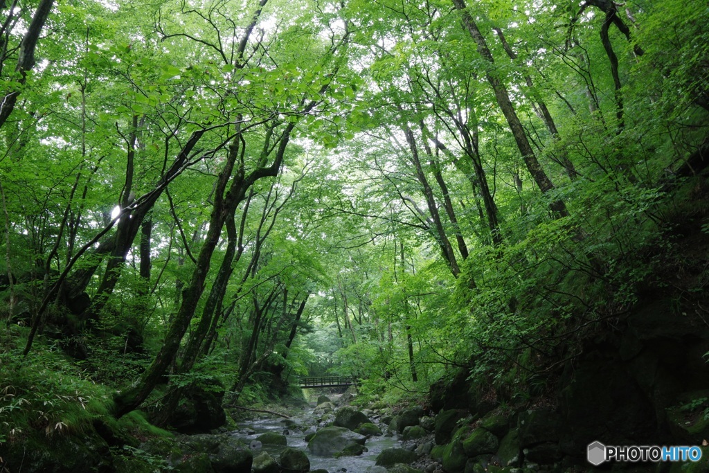 宮川渓谷