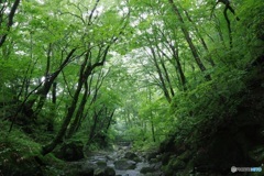 宮川渓谷
