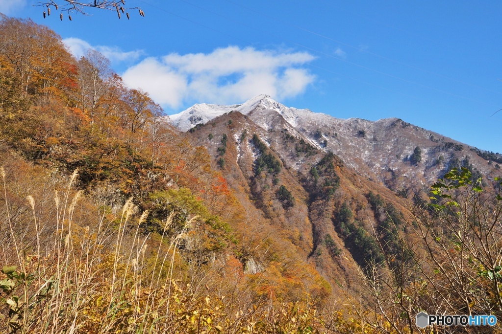 雪山と紅葉③