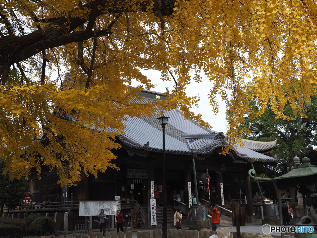 国宝、鑁阿寺本堂