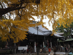 国宝、鑁阿寺本堂