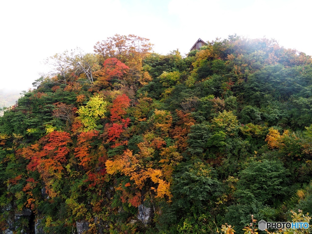 八海山、紅葉見頃
